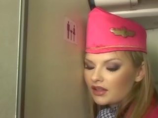Stewardeza